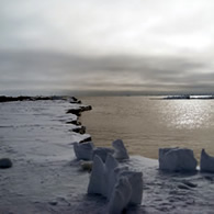 arctic studio