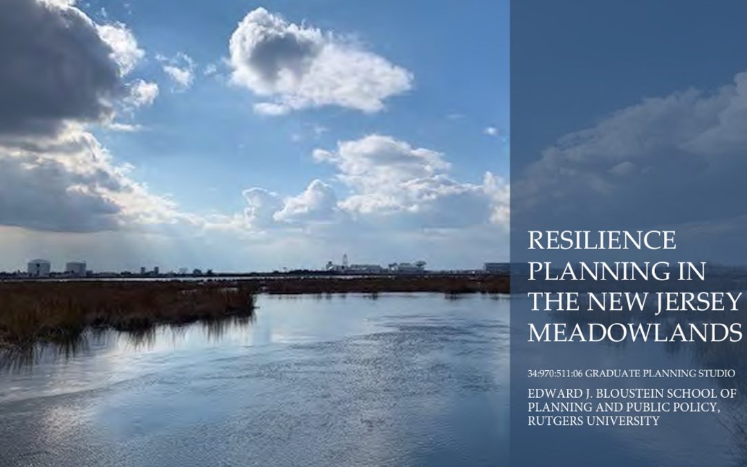 Meadowlands Resilience Planning