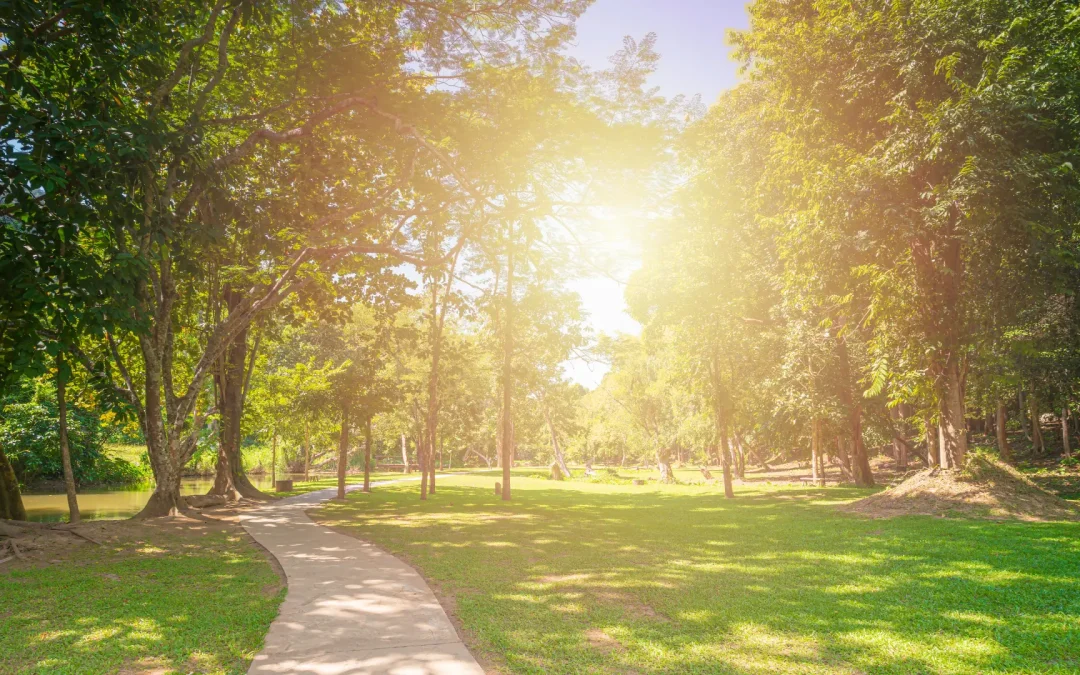 Zhang et al. Assess Greenspace and CVD Risk Using Nurses